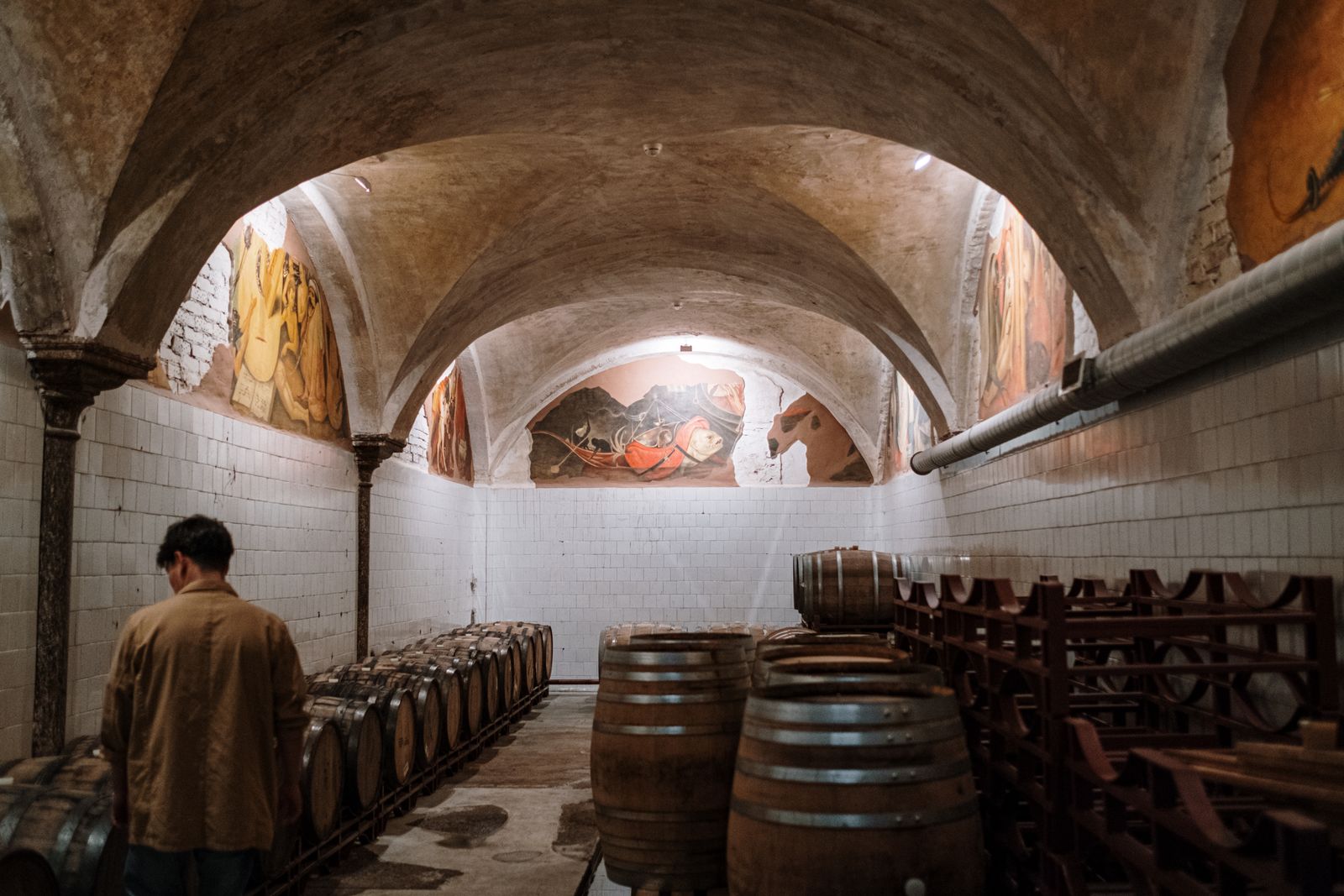 Wine barrels beneath the frescoed vaults of an old stone cellar
