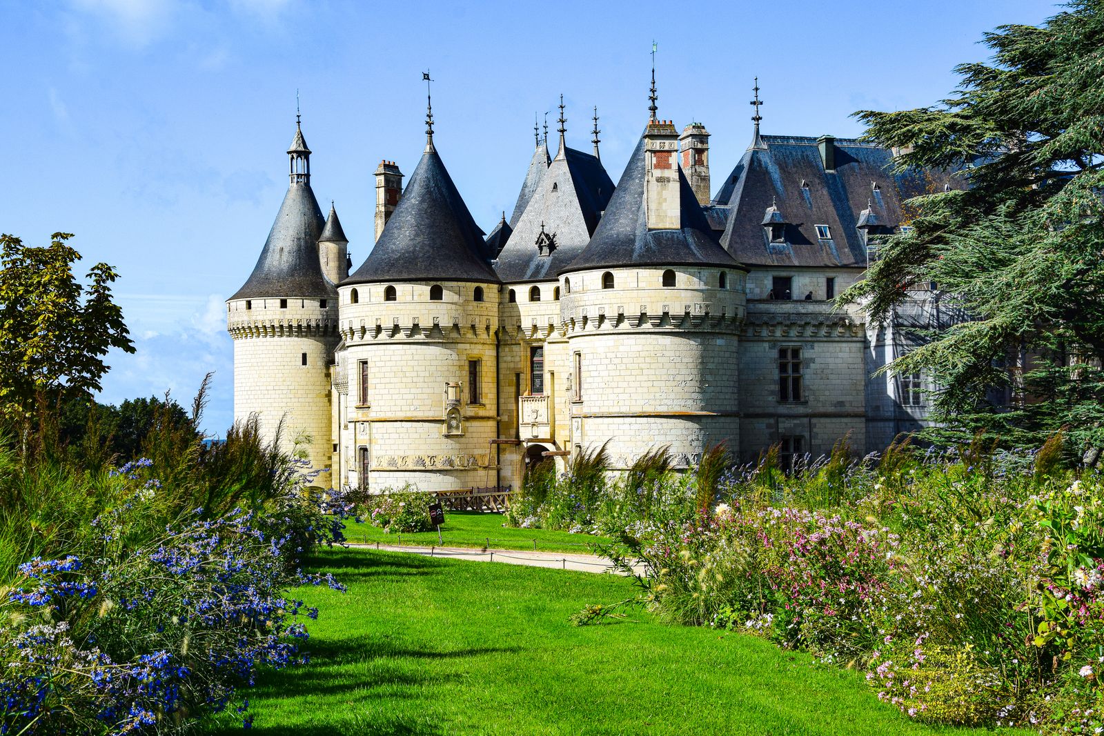 The towers of a Loire valley château above the trees