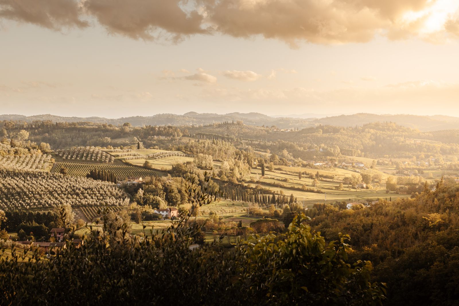 Tuscan hills and vineyards turning gold at sunset