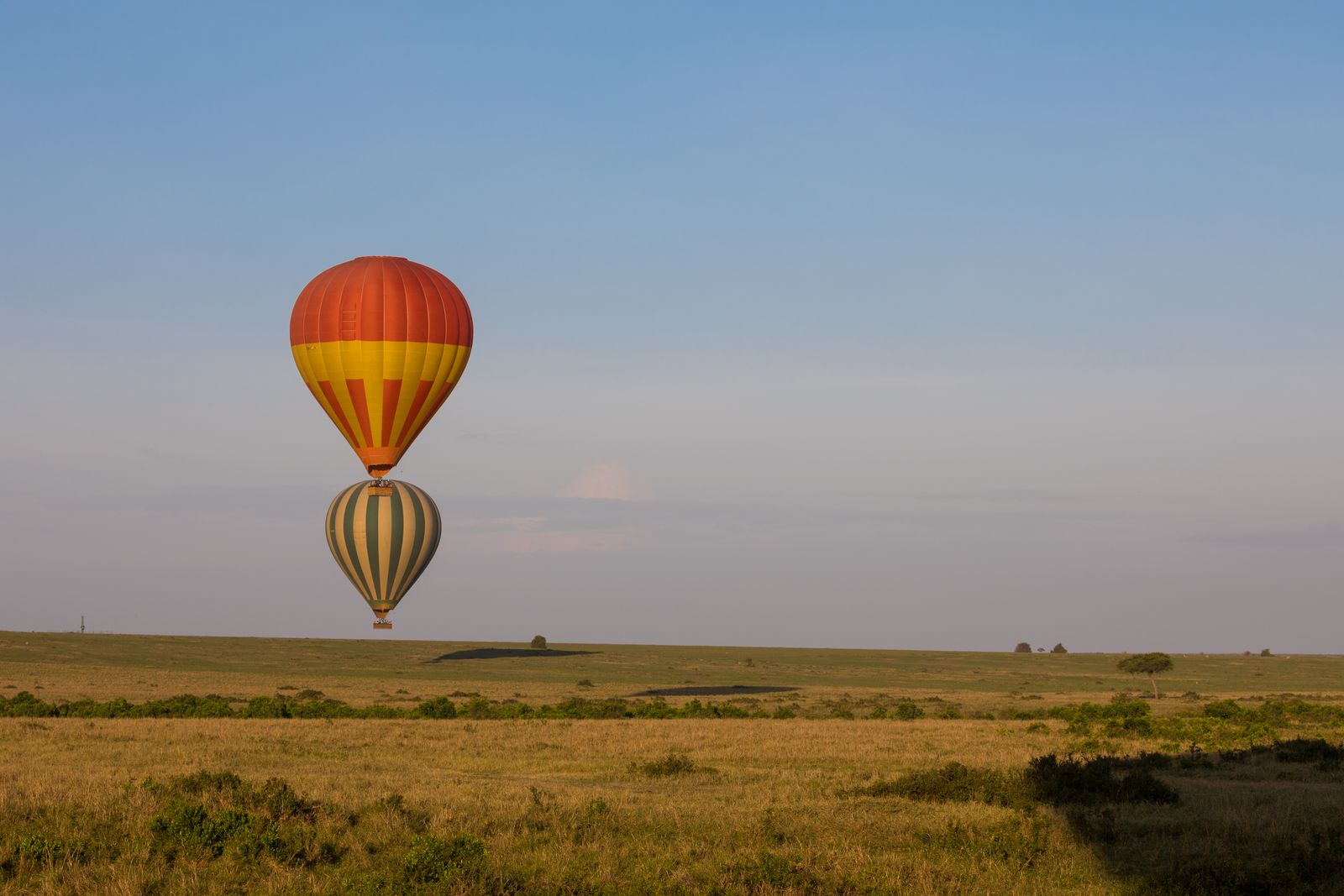 Hot air balloons drifting over the Mara at sunrise